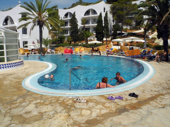 Pool Palmera