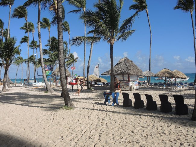 Viele Palmen | Hotelbild Hotel Dreams Palm Beach Resort & Spa