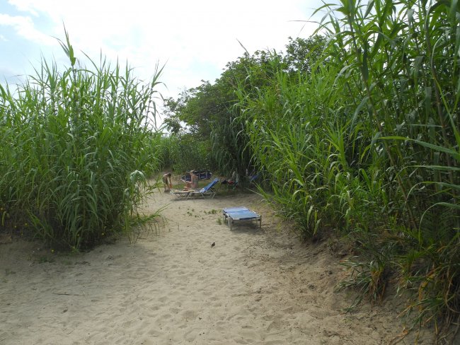 Zugang durch Schilf - Hotel Mirabell - Roda Zugang durch Schilf