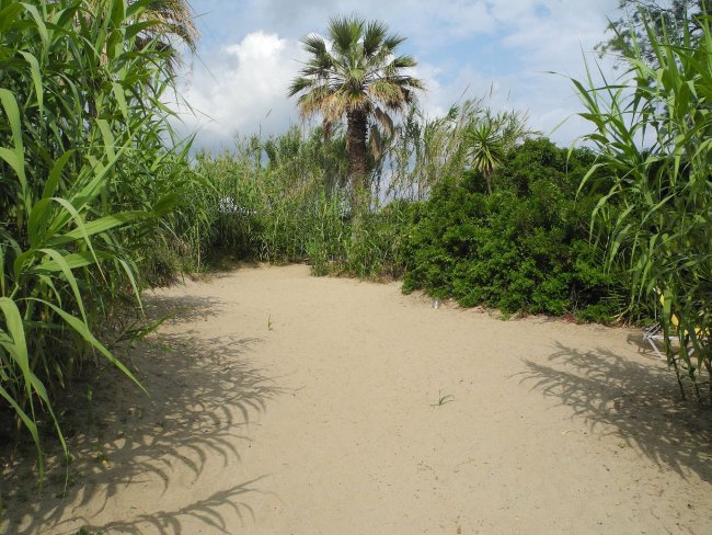 Viel Schilf - Hotel Mirabell - Roda Viel Schilf