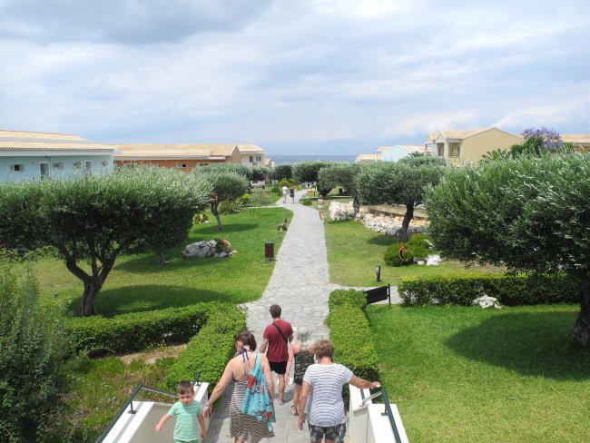 Garten mit Olivenbäumen