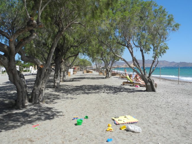 Bäume am Strand - Hotel Atlantis - Lambi Bäume am Strand
