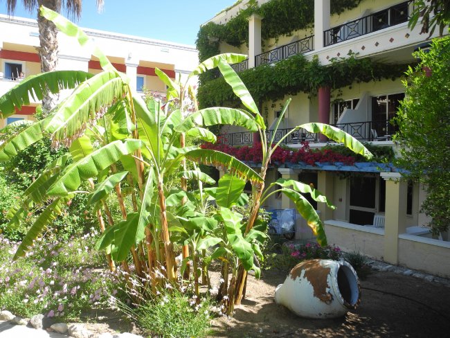 Auch Bananen - Hotel Apollon - Lambi Auch Bananen