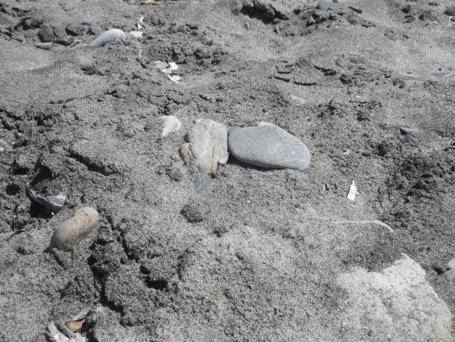 Grauer Sand und etwas Steine - Hotel Apollon - Lambi Grauer Sand und etwas Steine