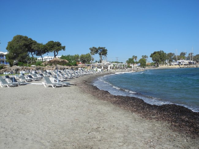 Theodorou Beach - Hotel Continental Palace - Kos Stadt Theodorou Beach