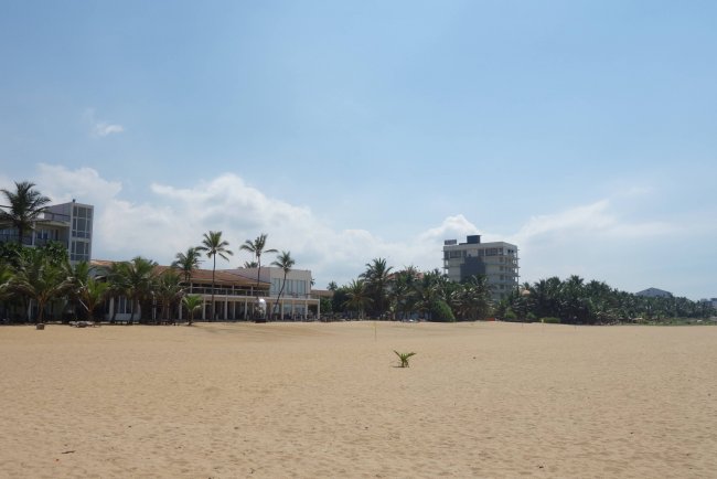 Sehr breiter Strand - Hotel Jetwing Sea - Negombo Sehr breiter Strand