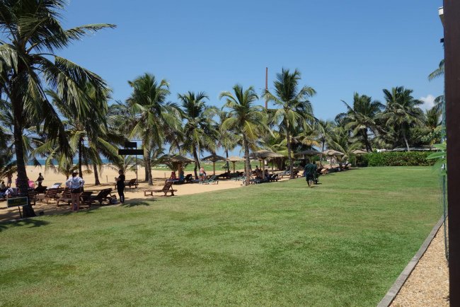Rasenbereich - Hotel Goldi Sands - Negombo Rasenbereich