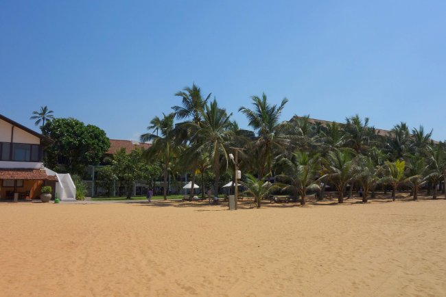 Direkt am Strand - Hotel Jetwing Blue - Negombo Direkt am Strand