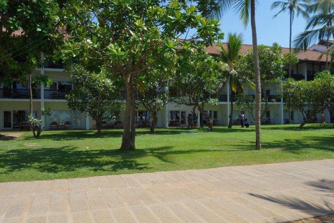 Rasen - Hotel Jetwing Blue - Negombo Rasen