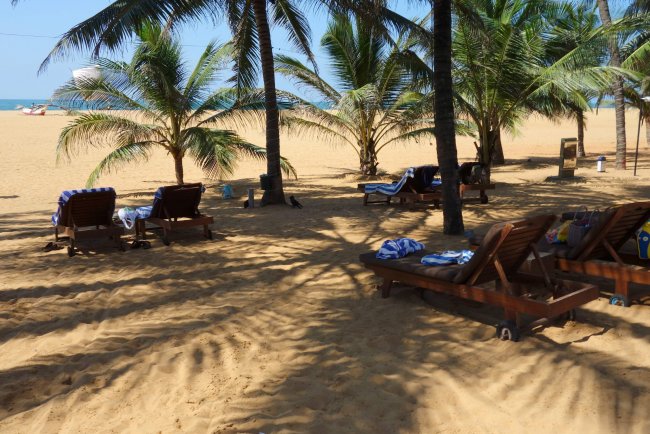 Liegen mit Meerblick - Hotel Jetwing Blue - Negombo Liegen mit Meerblick