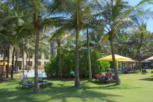 Viele Palmen - Hotel Heritance Negombo - Negombo Viele Palmen