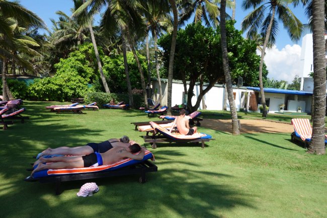 Schatten spendende Palmen - Hotel Camelot Beach - Negombo Schatten spendende Palmen