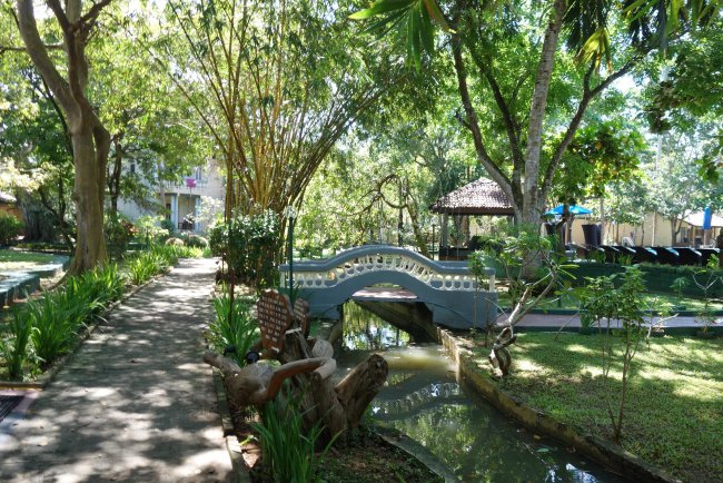Wild bewachsener Garten - Hotel Siddhalepa Ayurveda Health Resort - Kalutara Wild bewachsener Garten