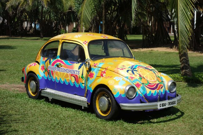 Käfer im Garten - Hotel Citrus Waskaduwa - Kalutara Käfer im Garten