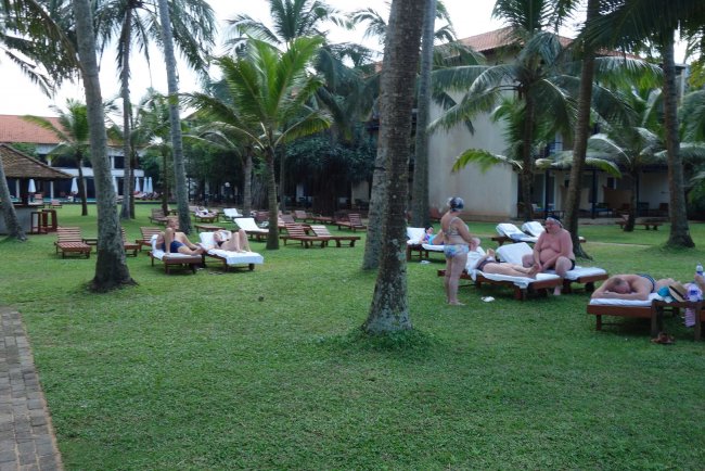 Liegen unter Palmen - Hotel Mermaid Club - Kalutara Liegen unter Palmen