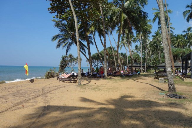 Liegenbereich unter Palmen - Hotel Tangerine Beach - Kalutara Liegenbereich unter Palmen