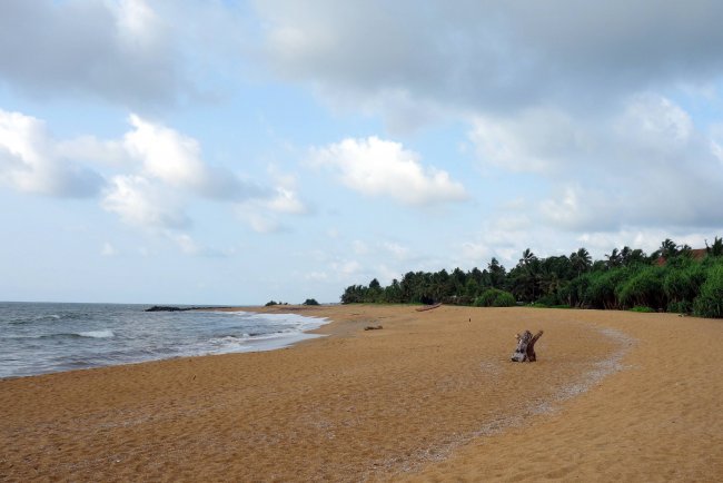 Breiter, wenig besuchter Strand - Hotel Avani Kalutara Resort - Kalutara Breiter, wenig besuchter Strand