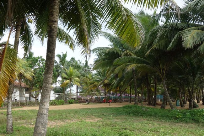 Beachvolleyball - Hotel Avani Kalutara Resort - Kalutara Beachvolleyball