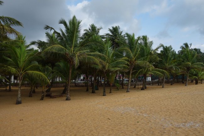 Direkte Strandlage - Hotel Avani Kalutara Resort - Kalutara Direkte Strandlage