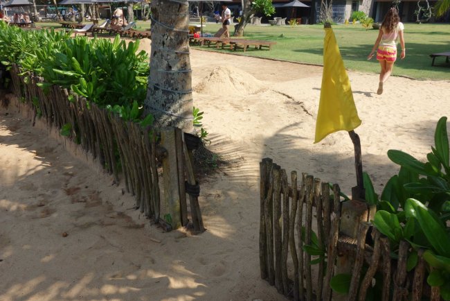 Zugang an den Strand - Hotel Earl´s Reef Beruwala - Bentota Zugang an den Strand