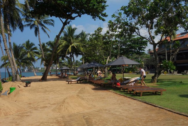 Strandbereich im Garten - Hotel Earl´s Reef Beruwala - Bentota Strandbereich im Garten