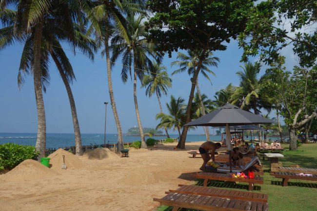 Liegen unter Palmen - Hotel Earl´s Reef Beruwala - Bentota Liegen unter Palmen