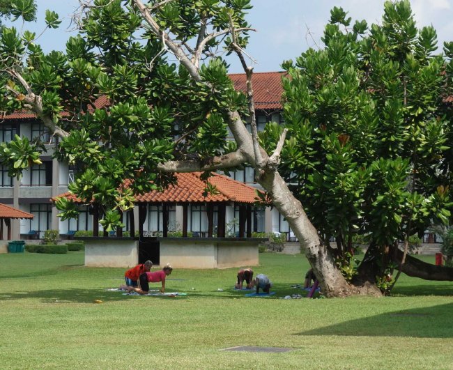 Yoga- und Mediationskurse - Hotel Cinnamon Bey Beruwala - Bentota Yoga- und Mediationskurse