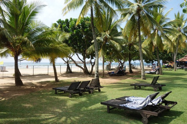 Liegen unter Palmen - Hotel Cooee The Palms - Bentota Liegen unter Palmen