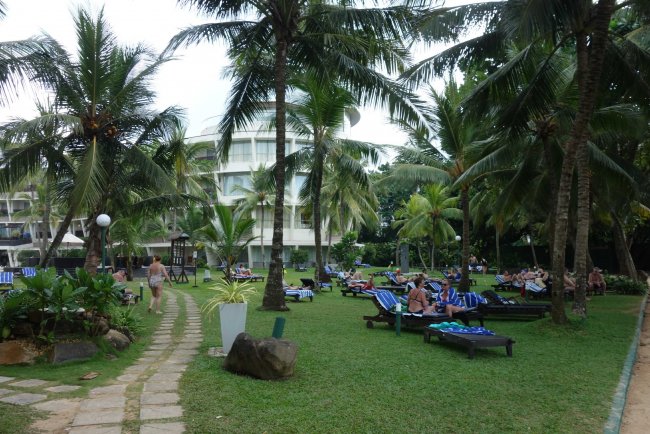 Gartne mit vielen Palmen - Hotel The Eden Resort & Spa - Bentota Gartne mit vielen Palmen