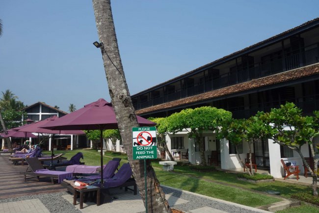 Keine zu hohen Gebäude - Hotel Avani Bentota Resort & Spa - Bentota Keine zu hohen Gebäude