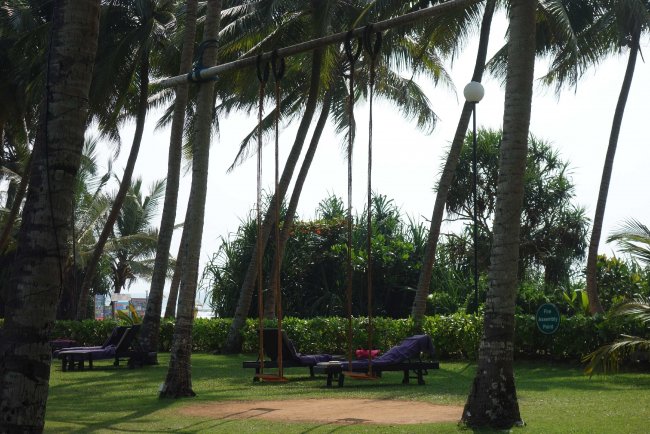 Schaukel - Hotel Avani Bentota Resort & Spa - Bentota Schaukel