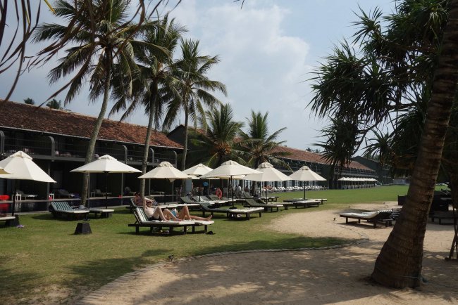 Viel Platz im Garten - Hotel The Surf - Bentota Viel Platz im Garten