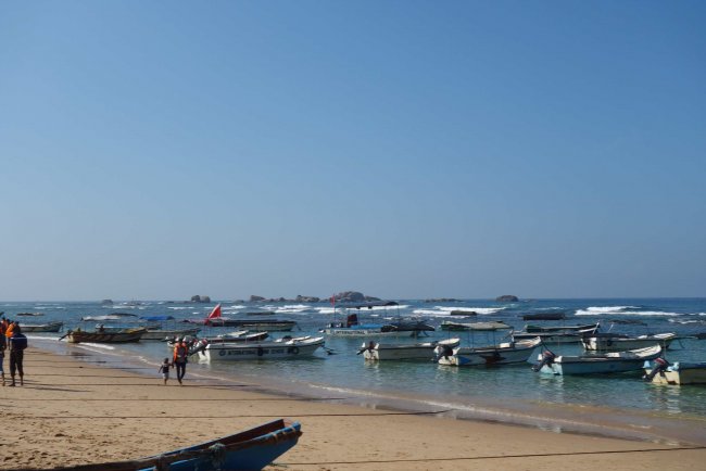 Viele Fischerboote - Hotel Coral Sands - Hikkaduwa Viele Fischerboote