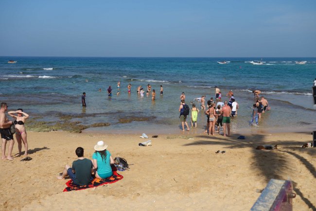 Alte Korallenbank - Hotel HikkaTranz by Cinnamon - Hikkaduwa Alte Korallenbank