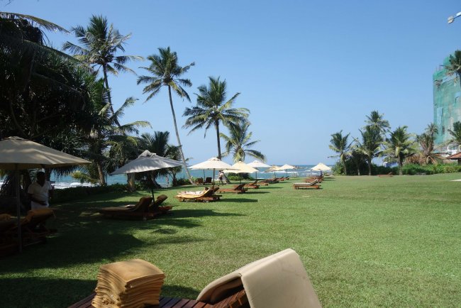 Großer Garten - Hotel Jetwing Lighthouse - Galle Großer Garten