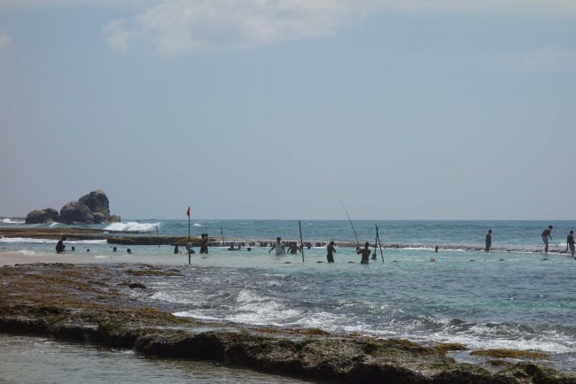 Fischer auf Pfählen - Hotel Koggala Beach Club Village - Koggala Fischer auf Pfählen