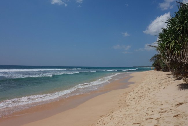 Strand vor dem Hotel - Hotel Koggala Beach Club Village - Koggala Strand vor dem Hotel