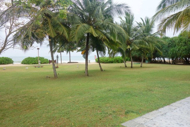 Garten mit Palmen - Hotel Anantaya Resort Pasikudah - Pasikuda Garten mit Palmen