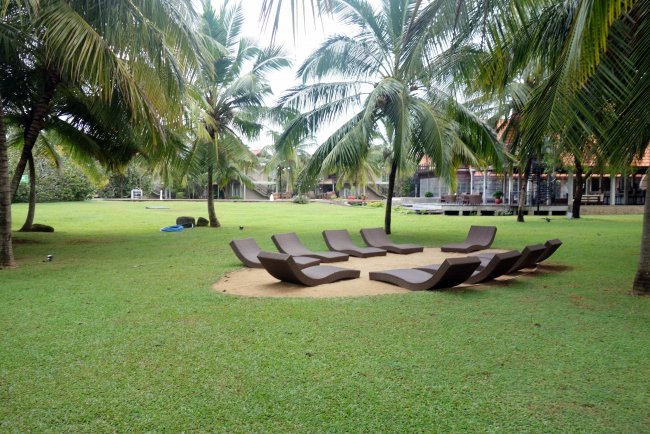 Viele Palmen - Hotel Uga Bay by Uga Escapes - Pasikuda Viele Palmen