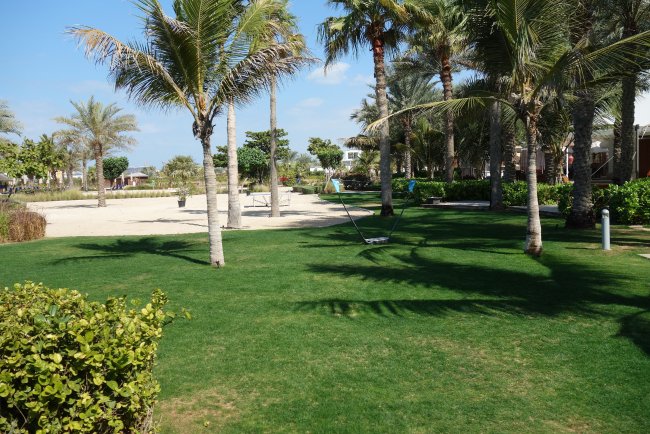 Garten - Hotel The Ritz-Carlton Jumeirah Beach - Dubai Garten
