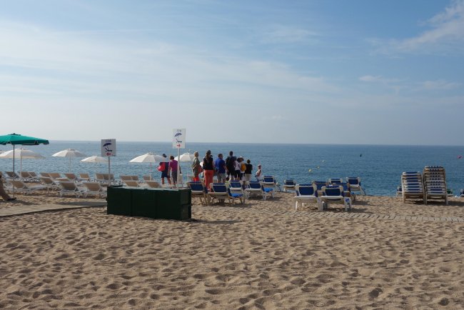 Öffentliche Liegen - Hotel Kaktus Playa - Calella Öffentliche Liegen