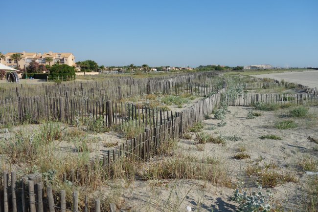 Dünenbereich - Hotel Les Bulles de Mer - Saint-Cyprien Dünenbereich