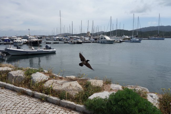 Hafen - Blu Hotel Morisco Village - Cannigione Hafen