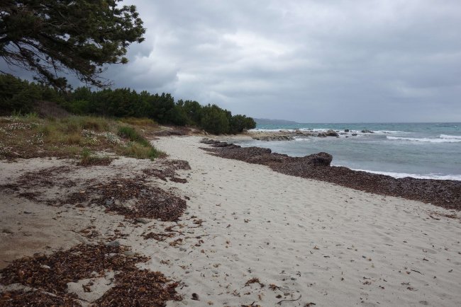 Strand vor dem Hotel - Hotel L´Esagno - San Theodoro Strand vor dem Hotel