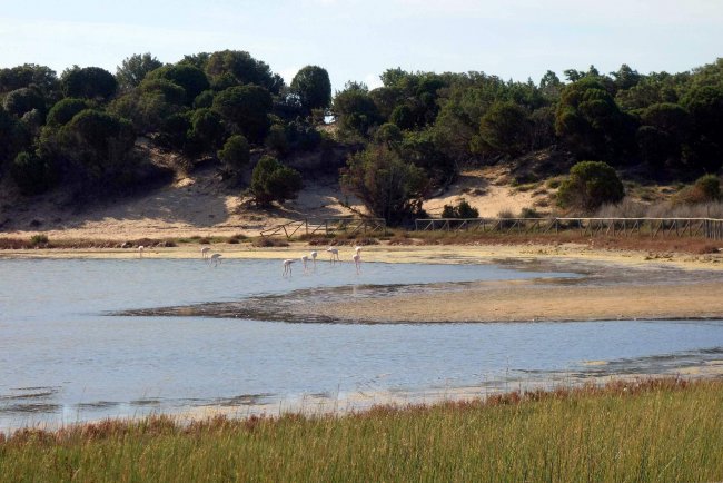 Strandsee Stangioni de Su Sali - Hotel Aquadulci - Chia Strandsee Stangioni de Su Sali