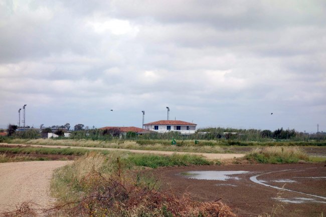 Mitten in Feldern - Gran Torre Hotel Sporting Club - Cabras Mitten in Feldern