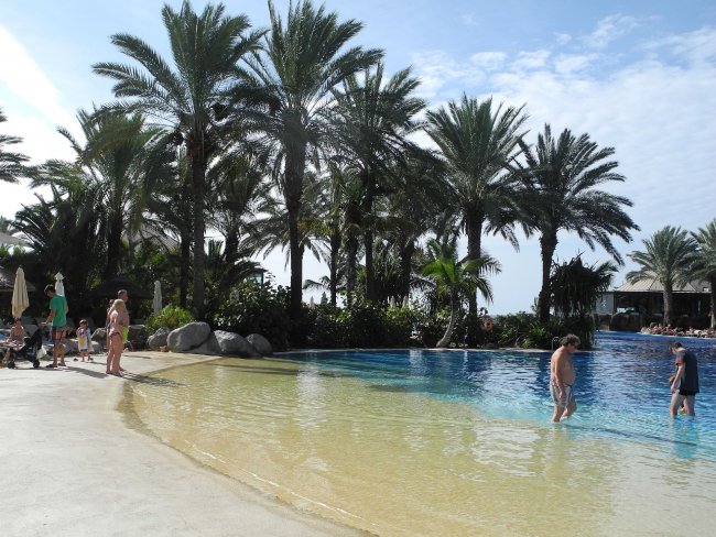 Lagunenartiger Pool