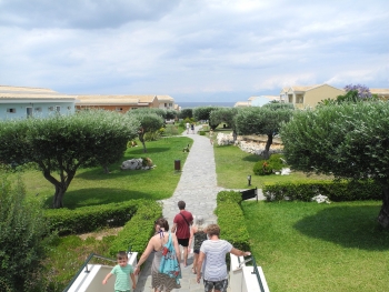 Garten mit Olivenbäumen