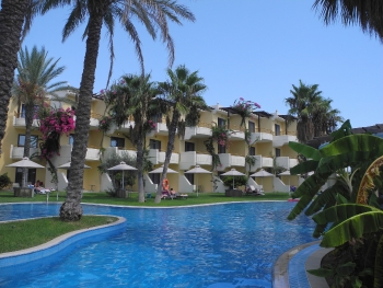 Viele Palmen an den Pools