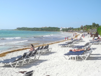 Typischer Karibikstrand Typischer Karibikstrand